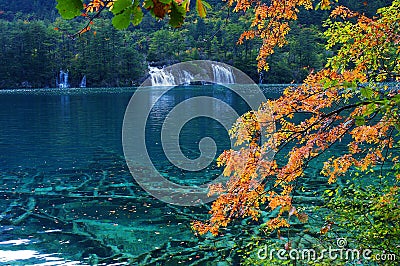 Jiuzhaigou autumn scenery in China