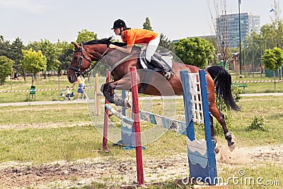 Jockey and horse jumping