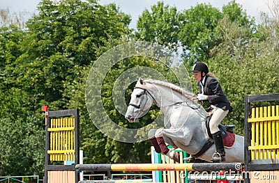 Jockey jumps over a hurdle