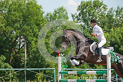 Jockey jumps over a hurdle