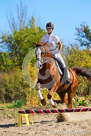 Jockey with purebred horse