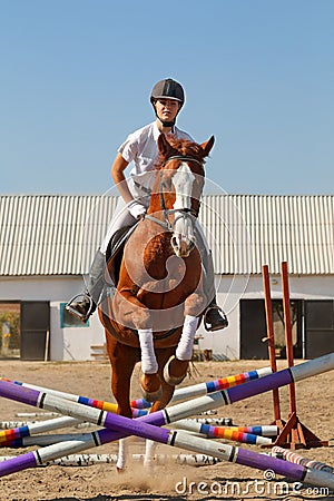 Jockey with purebred horse