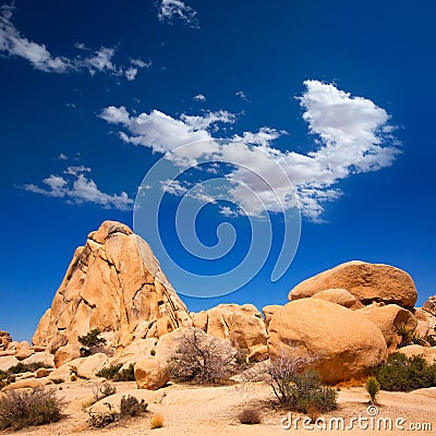 Joshua Tree National Park Intersection rock California