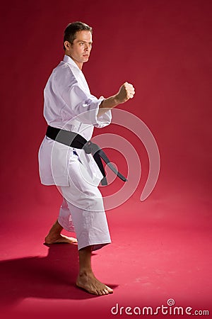 Karate Fighter