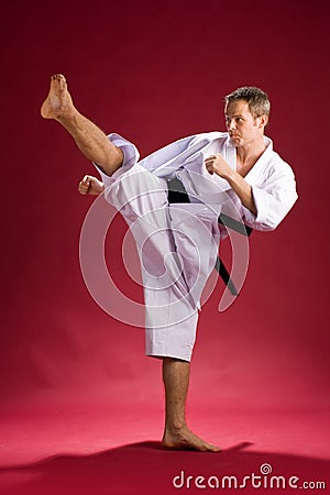 Karate Kick