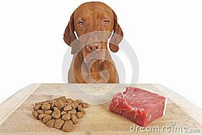 Kibble or natural dog food