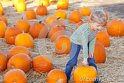 Kid at pumpkin patch