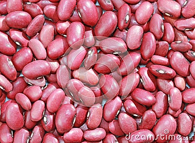 Kidney Beans