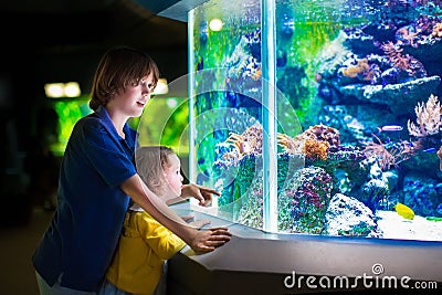 Kids watching fishes in aquarium