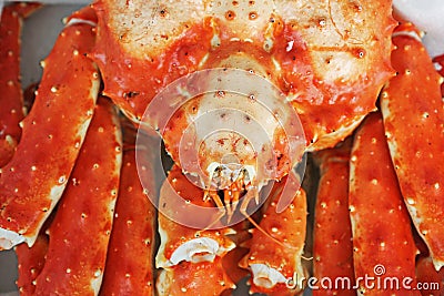 A king crab