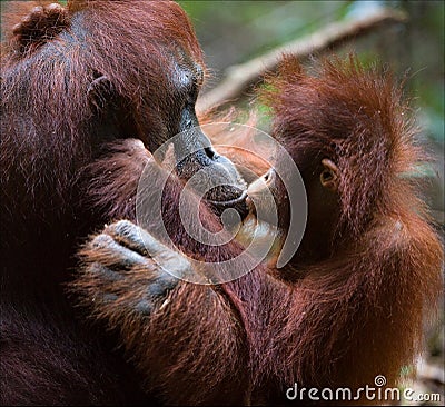 Kissing mum.