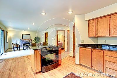 Kitchen interior with island and built-in stove