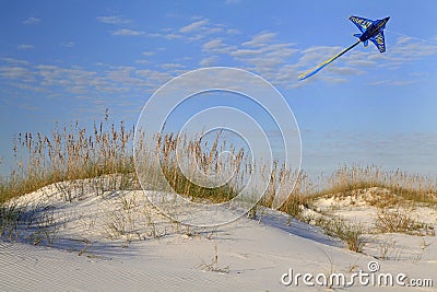 Kite Flying Over White Sand Dunes