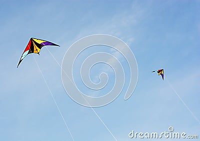 Kite flying in the sky