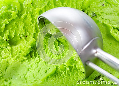 Kiwi ice cream scoop