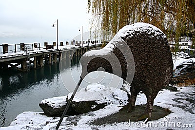 Kiwi and lake wakatipu blanketed in snow