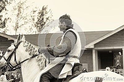 Knight on a horse, sepia