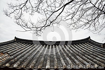 Korean traditional tiled roof