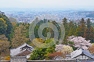 Kyoto City in Sakura Season