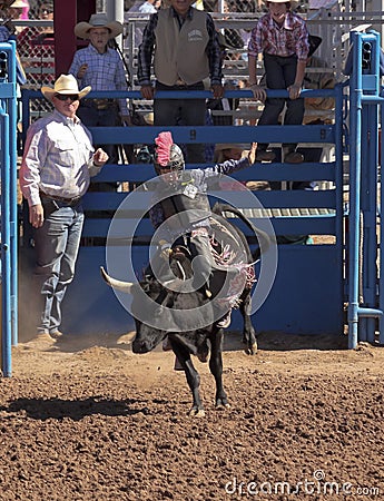 A La Fiesta De Los Vaqueros Junior Rodeo