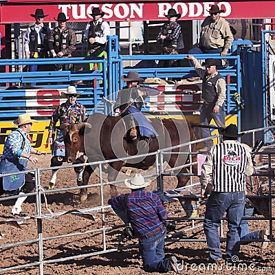 A La Fiesta De Los Vaqueros, Tucson, Arizona