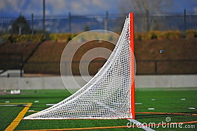 Lacrosse ball going into the goal