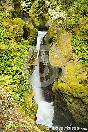 Ladder Creek Falls