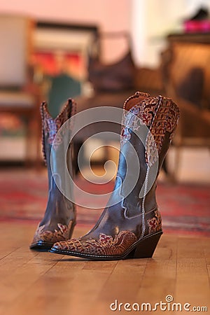 Ladies cowboy boots sitting on a wood floor