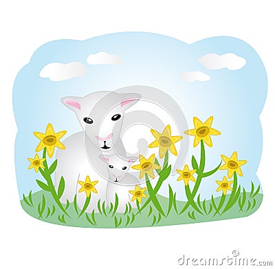 Lambs on meadow