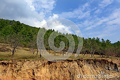 download Su un and His World of