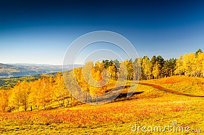 Beautiful autumn landscape. Fall season