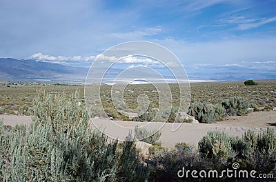 Landscape of desert in Nevada, USA