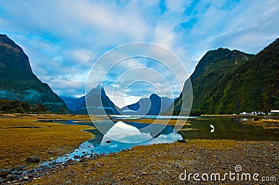 Landscape of high mountain glacier at milford sound