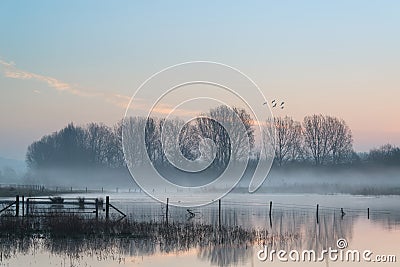 Landscape of lake in mist with sun glow at sunrise