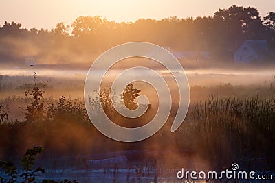 Landscape of morning sunrise