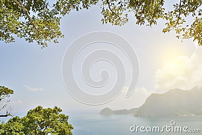 Landscape of ocean with forest under sunlight