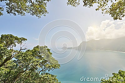 Landscape of ocean with forest under sunlight