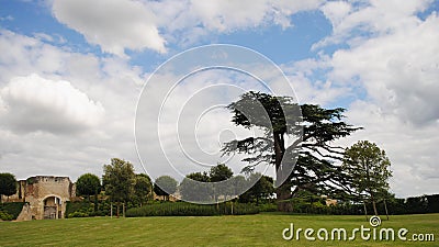 Landscape park of France. Open sky