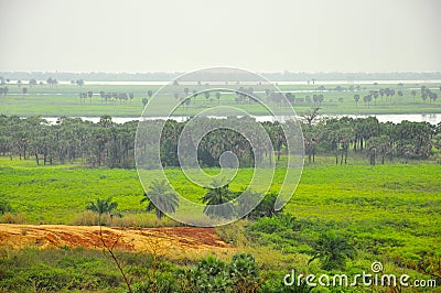 Landscape of the River Congo