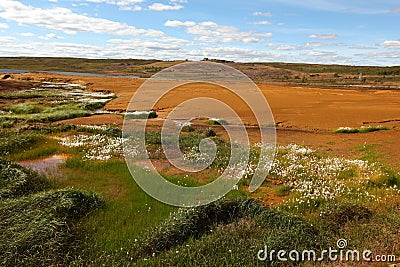 Landscape tarnished with copper mining residue