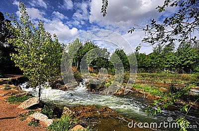 Landscape with tree and river