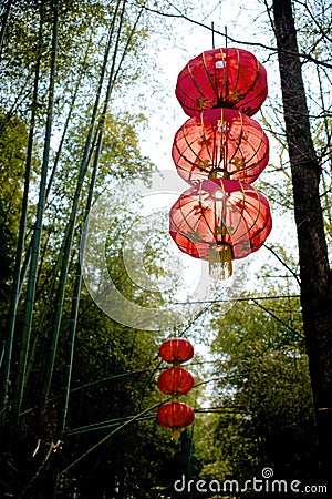 Lanterns in bamboo forest