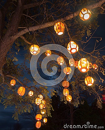 Lanterns in tree