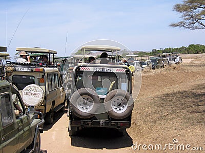 Large amounts of safari vehicles during Serengeti