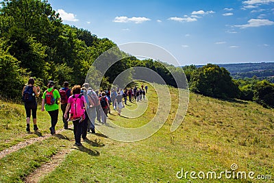 Large Group of Hikers