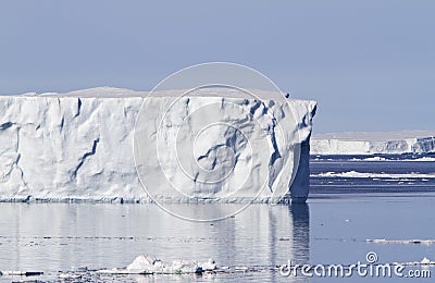 Large iceberg in Antacrtic Sound