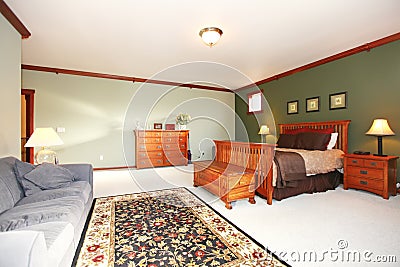 Large luxury green bedroom with sofa and rug.