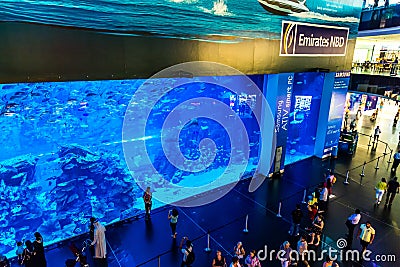 Largest aquarium of the world in Dubai Mall
