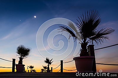 Last star - moon and palms on pier at sunrise