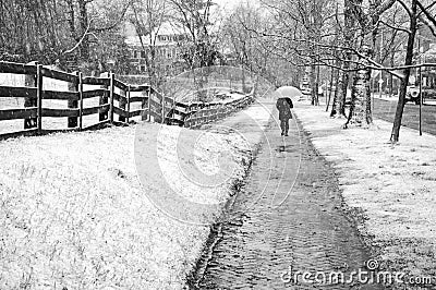 Late March Snow Storm